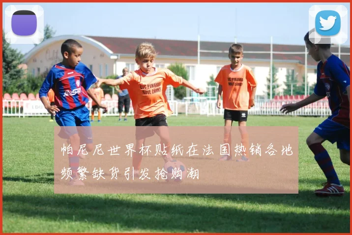 帕尼尼世界杯贴纸在法国热销各地频繁缺货引发抢购潮